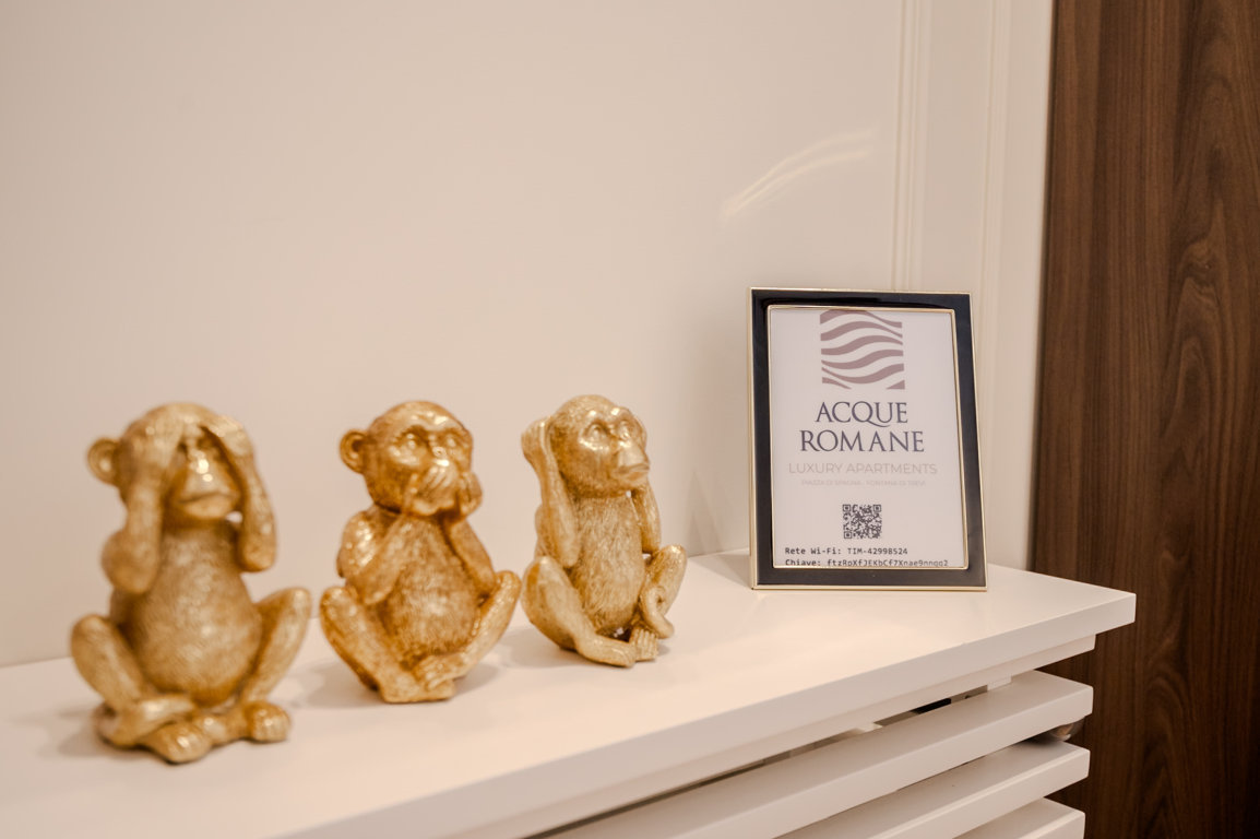 Casa Vacanze Fontana di trevi Piazza di Spagna Roma(38) (FILEminimizer)